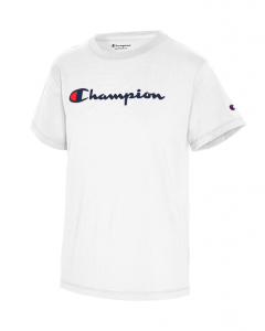 Champion Womens Classic T-Shirt in White (GT18HHS22)